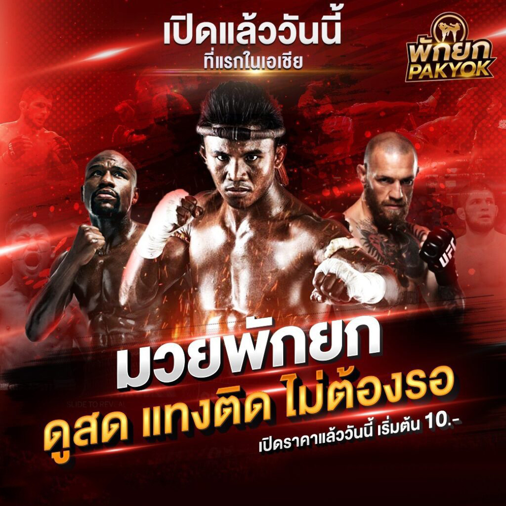 มวยพักยก Tiger แทงสดทุกยก ค่าน้ำไว จ่ายจริง ลุ้นกำไรทันที